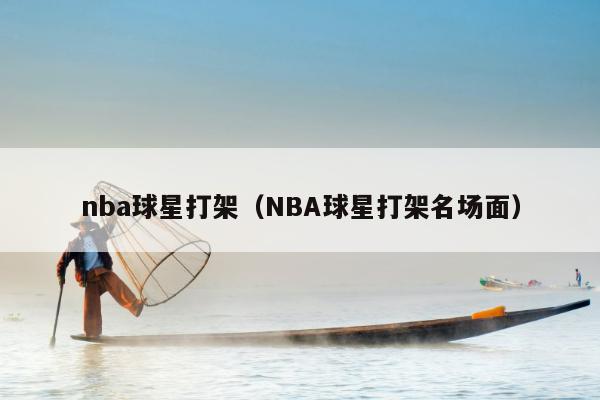 nba球星打架（NBA球星打架名场面）