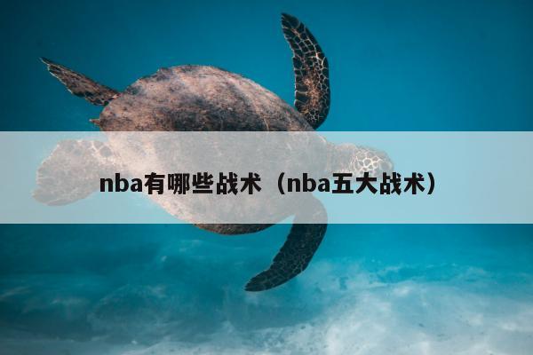 nba有哪些战术（nba五大战术）