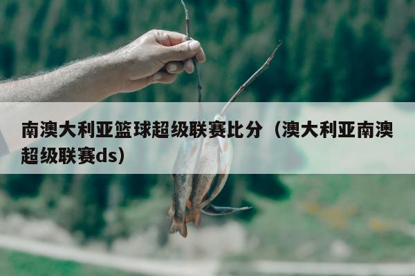 南澳大利亚篮球超级联赛比分（澳大利亚南澳超级联赛ds）