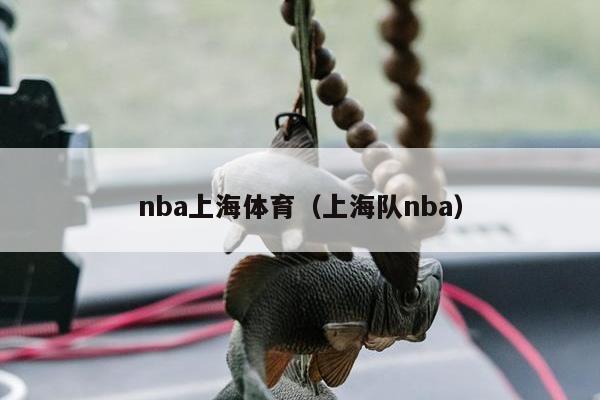 nba上海体育（上海队nba）