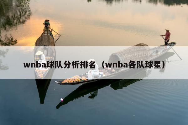 wnba球队分析排名（wnba各队球星）