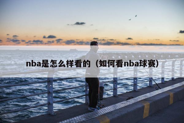 nba是怎么样看的（如何看nba球赛）