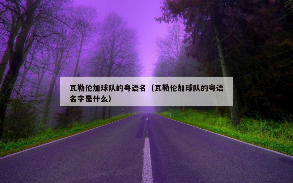 瓦勒伦加球队的粤语名（瓦勒伦加球队的粤语名字是什么）