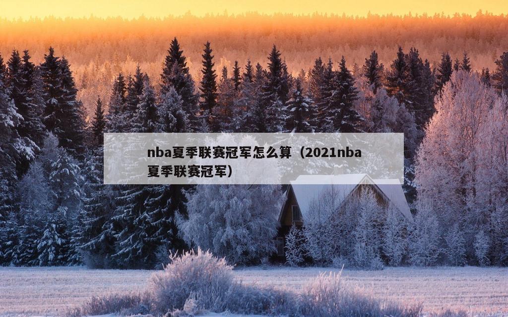 nba夏季联赛冠军怎么算（2021nba夏季联赛冠军）