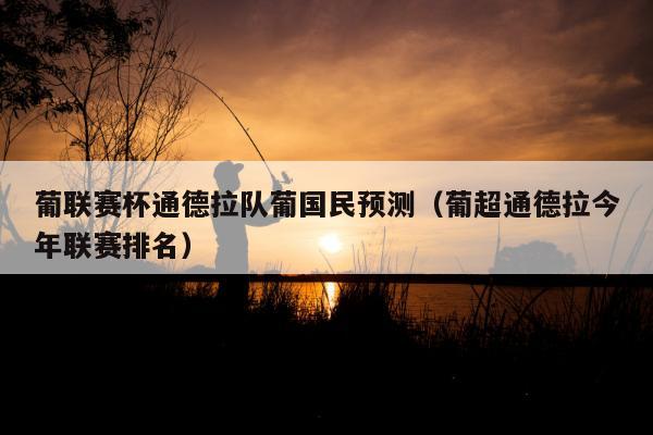 葡联赛杯通德拉队葡国民预测（葡超通德拉今年联赛排名）