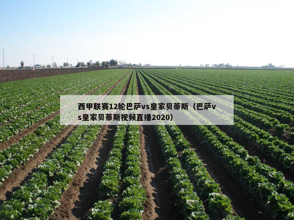 西甲联赛12轮巴萨vs皇家贝蒂斯（巴萨vs皇家贝蒂斯视频直播2020）