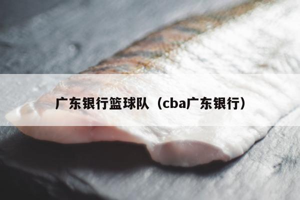 广东银行篮球队（cba广东银行）