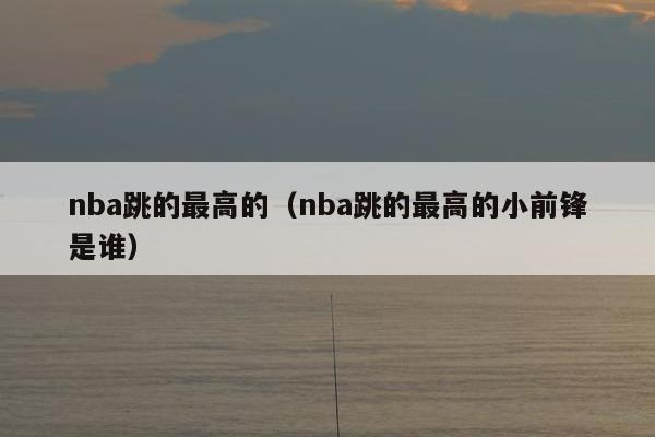 nba跳的最高的（nba跳的最高的小前锋是谁）