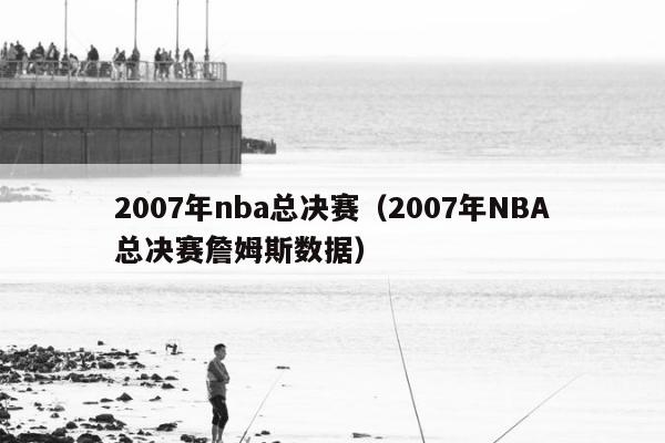 2007年nba总决赛（2007年NBA总决赛詹姆斯数据）