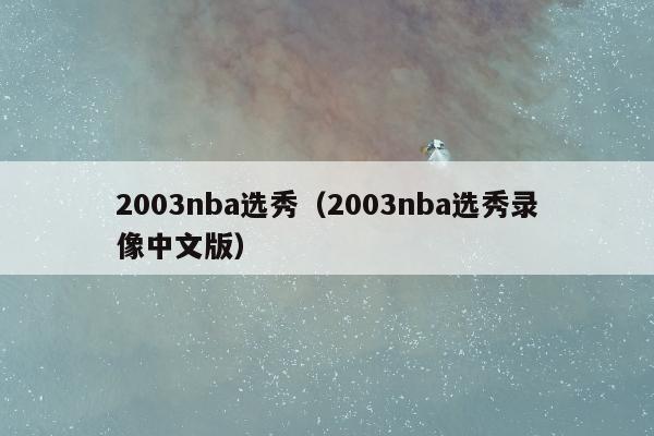 2003nba选秀（2003nba选秀录像中文版）