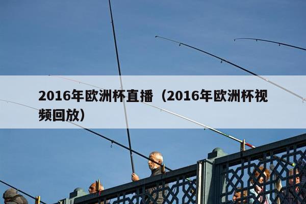 2016年欧洲杯直播（2016年欧洲杯视频回放）