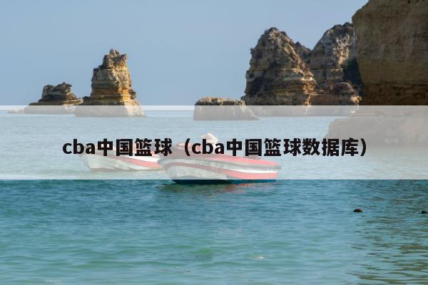 cba中国篮球（cba中国篮球数据库）
