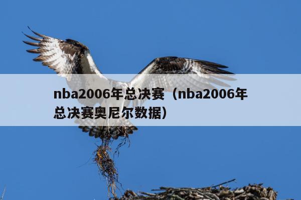 nba2006年总决赛（nba2006年总决赛奥尼尔数据）