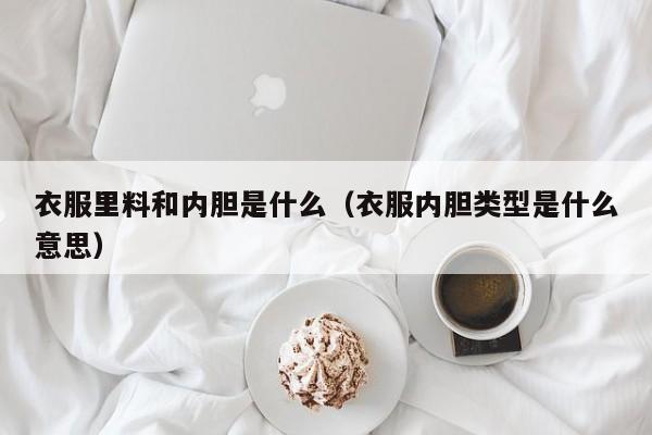 衣服里料和内胆是什么（衣服内胆类型是什么意思）