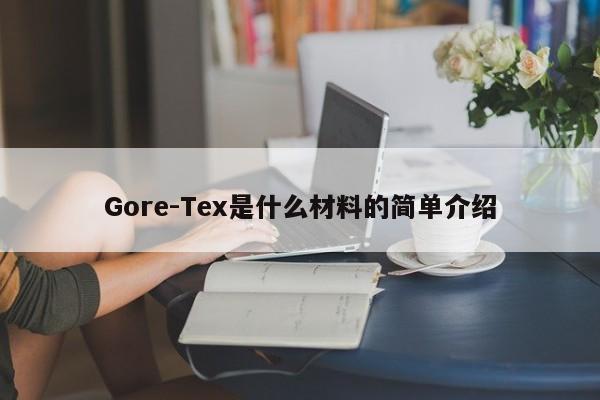 Gore-Tex是什么材料的简单介绍