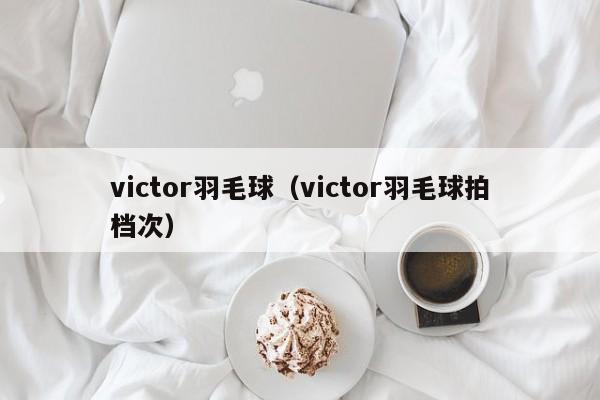 victor羽毛球（victor羽毛球拍档次）