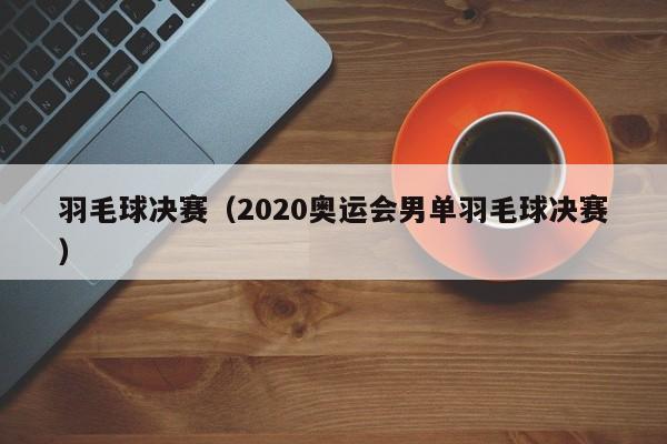 羽毛球决赛（2020奥运会男单羽毛球决赛）