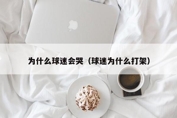 为什么球迷会哭（球迷为什么打架）