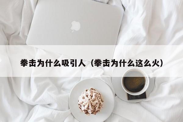 拳击为什么吸引人（拳击为什么这么火）