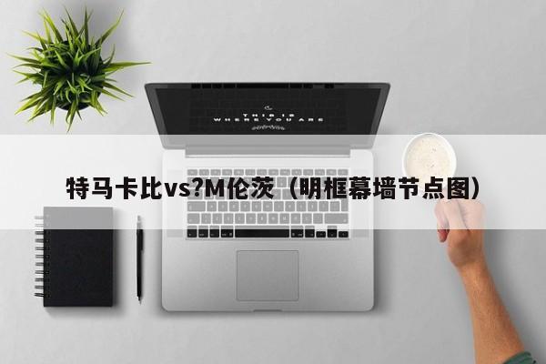 特马卡比vs?M伦茨（明框幕墙节点图）