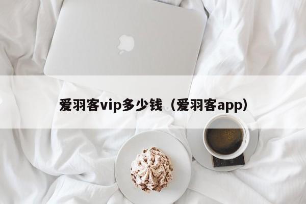爱羽客vip多少钱（爱羽客app）