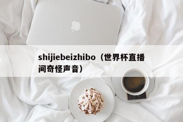 shijiebeizhibo（世界杯直播间奇怪声音）