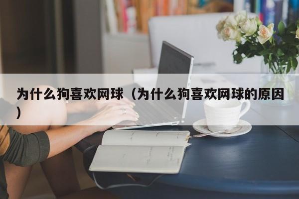 为什么狗喜欢网球（为什么狗喜欢网球的原因）