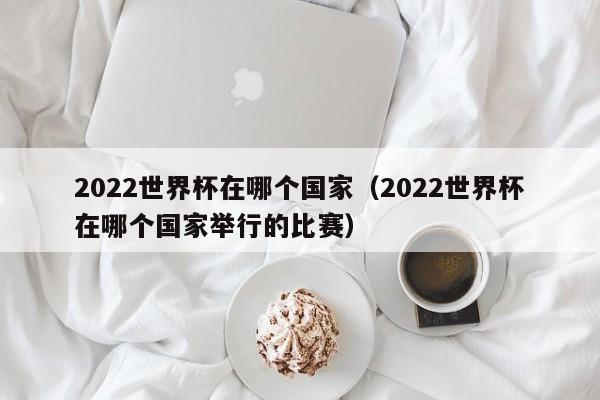 2022世界杯在哪个国家（2022世界杯在哪个国家举行的比赛）