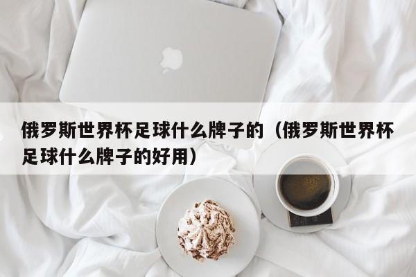 俄罗斯世界杯足球什么牌子的（俄罗斯世界杯足球什么牌子的好用）