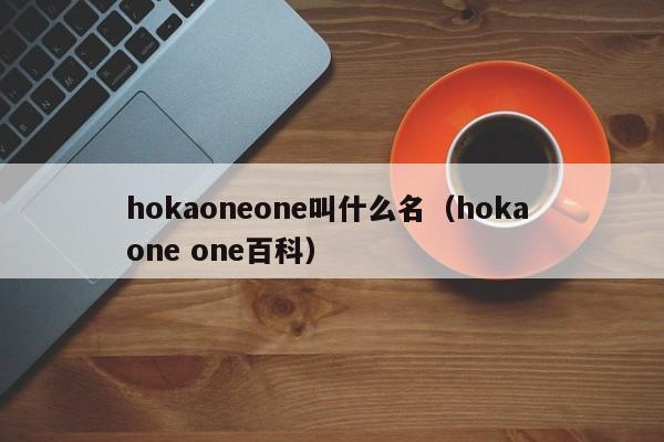 hokaoneone叫什么名（hoka one one百科）