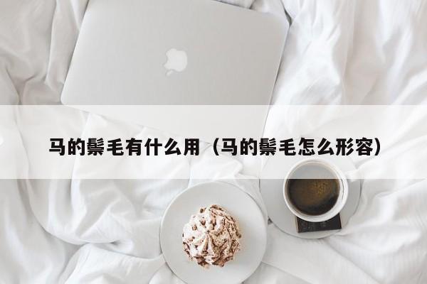 马的鬃毛有什么用（马的鬃毛怎么形容）