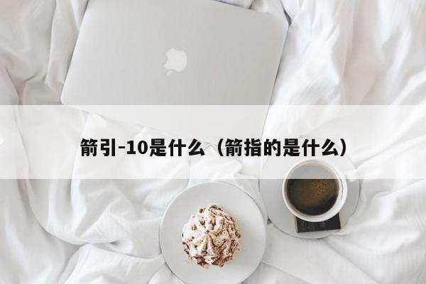 箭引-10是什么（箭指的是什么）