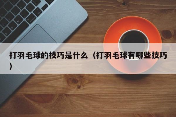 打羽毛球的技巧是什么（打羽毛球有哪些技巧）