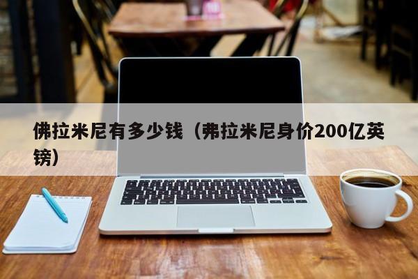 佛拉米尼有多少钱（弗拉米尼身价200亿英镑）