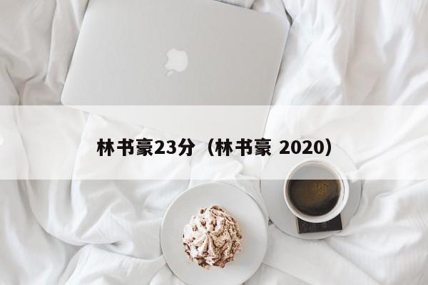 林书豪23分（林书豪 2020）