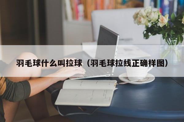 羽毛球什么叫拉球（羽毛球拉线正确样图）