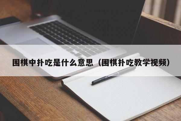 围棋中扑吃是什么意思（围棋扑吃教学视频）