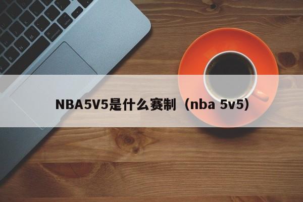 NBA5V5是什么赛制（nba 5v5）