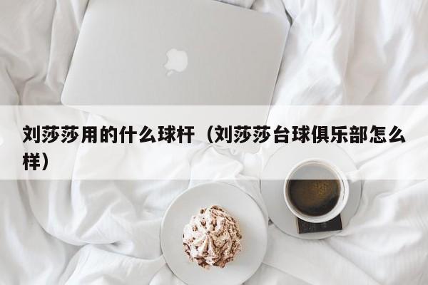 刘莎莎用的什么球杆（刘莎莎台球俱乐部怎么样）