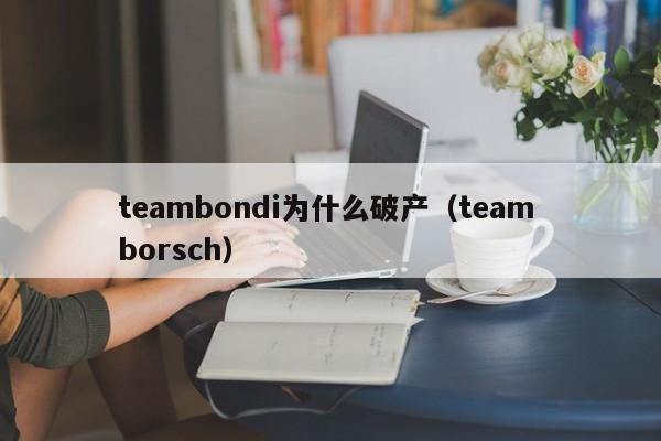 teambondi为什么破产（team borsch）