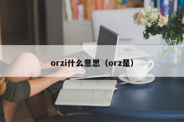 orzi什么意思（orz是）