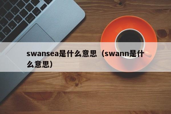 swansea是什么意思（swann是什么意思）