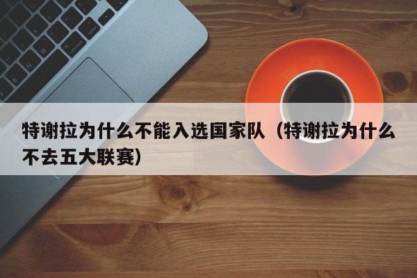 特谢拉为什么不能入选国家队（特谢拉为什么不去五大联赛）