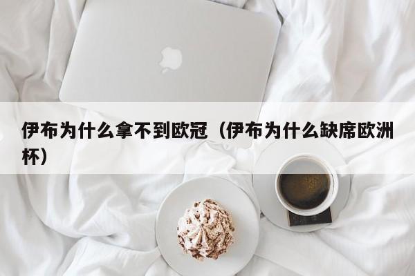 伊布为什么拿不到欧冠（伊布为什么缺席欧洲杯）